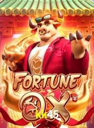 KK45.COM
